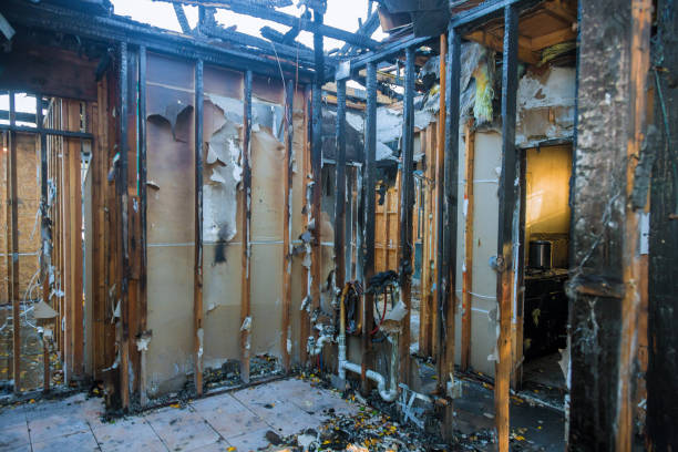 Professional Fire Damage Removal technician working in Glencoe, FL